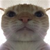 Đồ