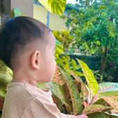 Bộ