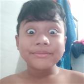 Gấ