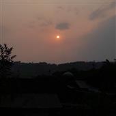 Trực
