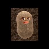 Ki