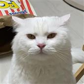 Ho