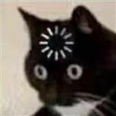 888