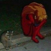 Tô