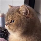 1 tr