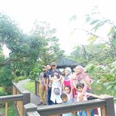 Luật