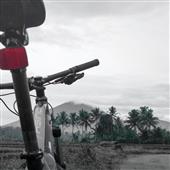 Kết 