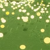 Soi 