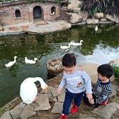 Lago