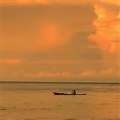 Luật