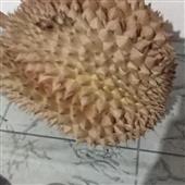Ni