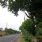 Lập 