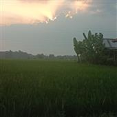 Nh