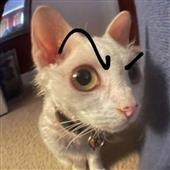 Ch