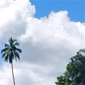Lễ