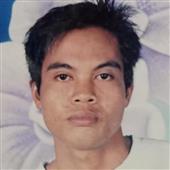Dự