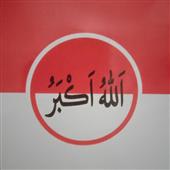 Gi
