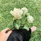 Lị
