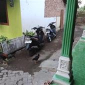 Trẻ 