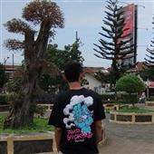 Si