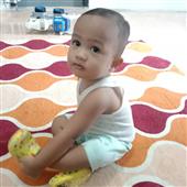 Luật