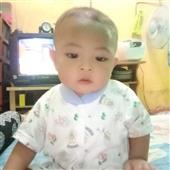 Luật