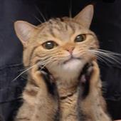 Ti