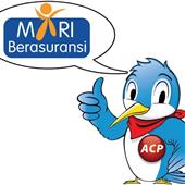 Bó