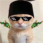 Xác 