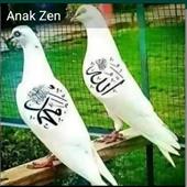 Đườn