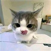 G-