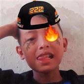 Cò q