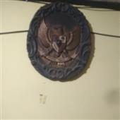 Trực
