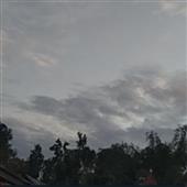 Liên
