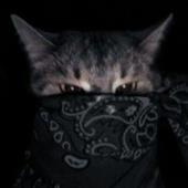 Gi