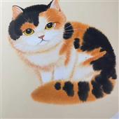 xi