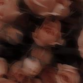 U2