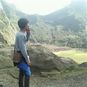 Rogu