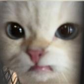 Ga