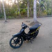 Trực