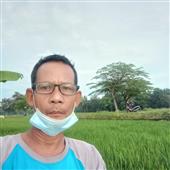 Chủ 