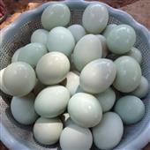 Kẹ
