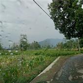 Lễ h
