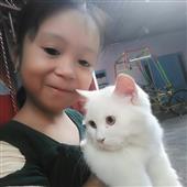 Vu