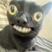 Ch