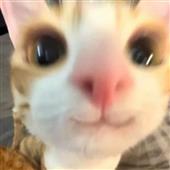 Th