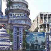 Ngựa