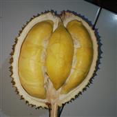 Đua 