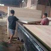 trận