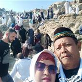Cung